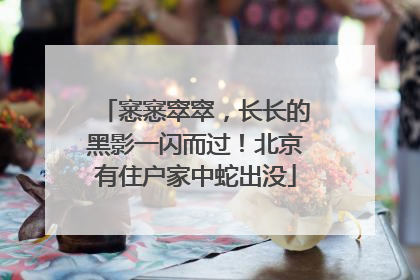 窸窸窣窣，长长的黑影一闪而过！北京有住户家中蛇出没