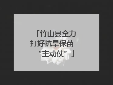 竹山县全力打好抗旱保苗“主动仗”