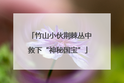 竹山小伙荆棘丛中救下“神秘国宝”