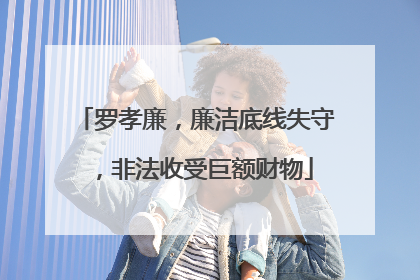 罗孝廉，廉洁底线失守，非法收受巨额财物