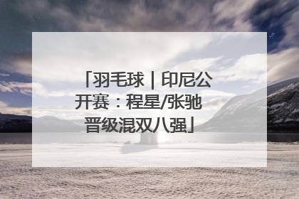 羽毛球｜印尼公开赛：程星/张驰晋级混双八强