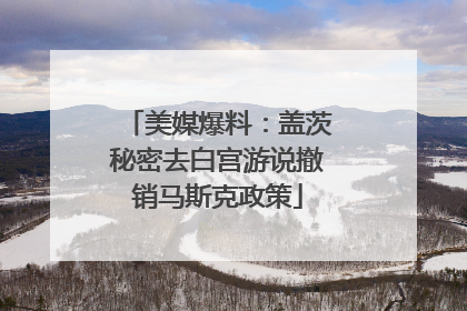 美媒爆料：盖茨秘密去白宫游说撤销马斯克政策