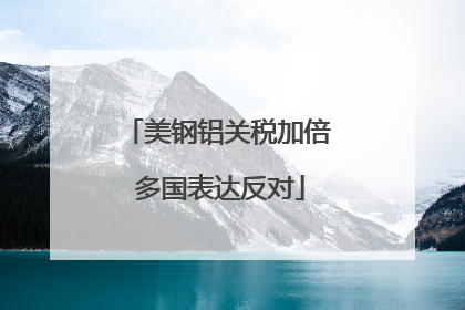美钢铝关税加倍 多国表达反对
