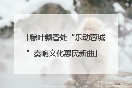 粽叶飘香处“乐动蓉城”奏响文化惠民新曲