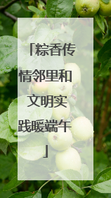 粽香传情邻里和 文明实践暖端午