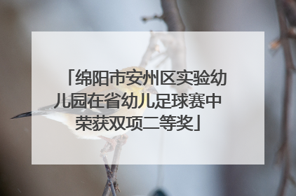 绵阳市安州区实验幼儿园在省幼儿足球赛中荣获双项二等奖