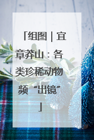 组图｜宜章莽山：各类珍稀动物频“出镜”