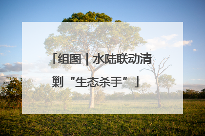 组图｜水陆联动清剿“生态杀手”