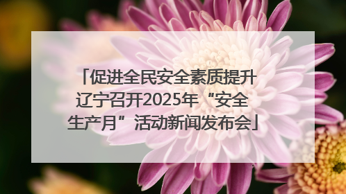 促进全民安全素质提升 辽宁召开2025年“安全生产月”活动新闻发布会