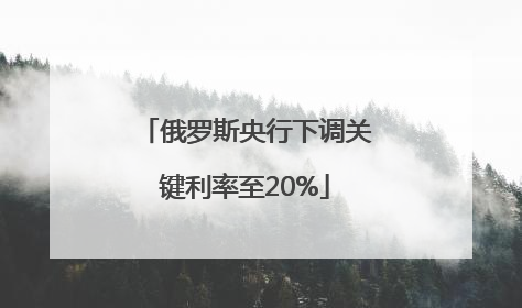 俄罗斯央行下调关键利率至20%