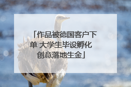 作品被德国客户下单 大学生毕设孵化创意落地生金