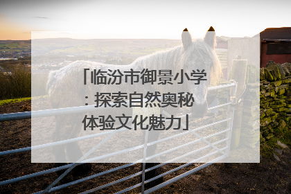 临汾市御景小学：探索自然奥秘 体验文化魅力
