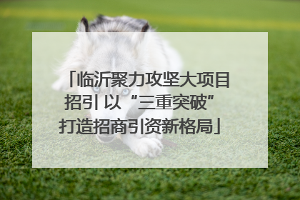 临沂聚力攻坚大项目招引 以“三重突破”打造招商引资新格局