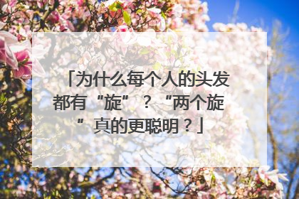 为什么每个人的头发都有“旋”？“两个旋”真的更聪明？
