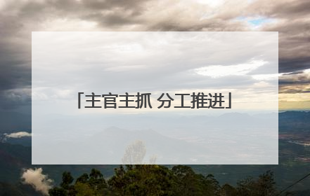 主官主抓 分工推进