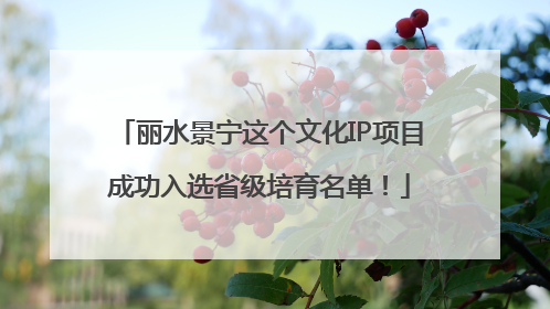 丽水景宁这个文化IP项目成功入选省级培育名单！