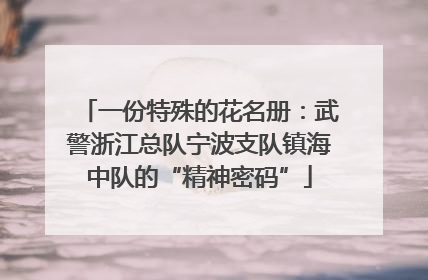 一份特殊的花名册：武警浙江总队宁波支队镇海中队的“精神密码”