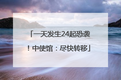 一天发生24起恐袭！中使馆：尽快转移