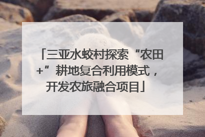 三亚水蛟村探索“农田+”耕地复合利用模式，开发农旅融合项目