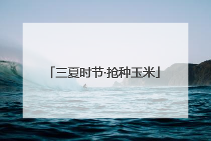 三夏时节·抢种玉米
