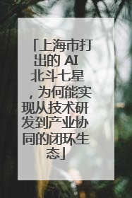 上海市打出的 AI 北斗七星，为何能实现从技术研发到产业协同的闭环生态
