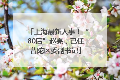 上海最新人事！“80后”赵亮，已任普陀区委副书记