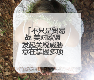 不只是贸易战 美对欧盟发起关税威胁意在掌握多项议程主导权