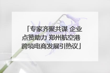 专家齐聚共谋 企业点赞助力 郑州航空港跨境电商发展引热议