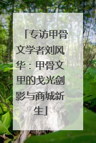 专访甲骨文学者刘风华：甲骨文里的戈光剑影与商城新生
