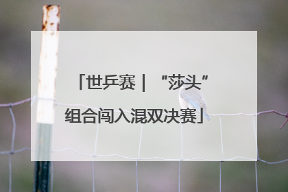 世乒赛｜“莎头”组合闯入混双决赛