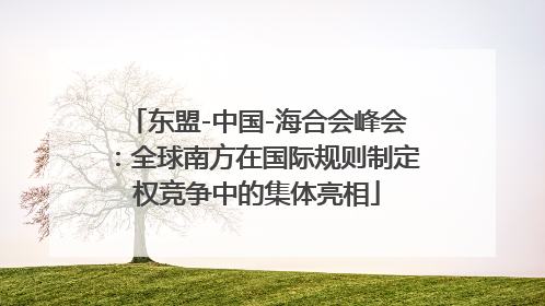 东盟-中国-海合会峰会：全球南方在国际规则制定权竞争中的集体亮相
