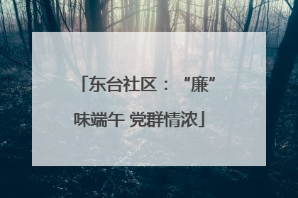 东台社区：“廉”味端午 党群情浓