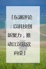 东湖评论：以科技创新聚力，推动江汉欣欣向荣