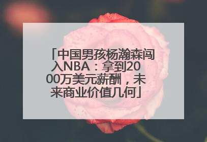 中国男孩杨瀚森闯入NBA：拿到2000万美元薪酬，未来商业价值几何