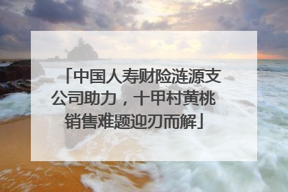 中国人寿财险涟源支公司助力，十甲村黄桃销售难题迎刃而解