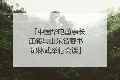 中国华电董事长江毅与山东省委书记林武举行会谈