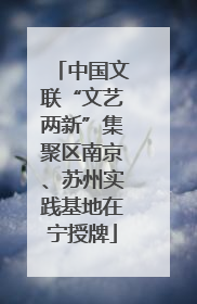 中国文联“文艺两新”集聚区南京、苏州实践基地在宁授牌