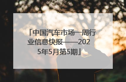 中国汽车市场一周行业信息快报——2025年5月第5期