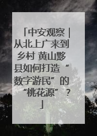 中安观察｜从北上广来到乡村 黄山黟县如何打造“数字游民”的“桃花源”？