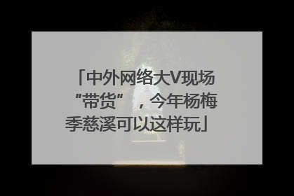 中外网络大V现场“带货”，今年杨梅季慈溪可以这样玩