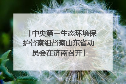 中央第三生态环境保护督察组督察山东省动员会在济南召开
