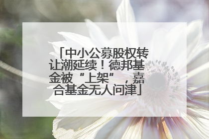 中小公募股权转让潮延续！德邦基金被“上架”，嘉合基金无人问津