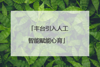 丰台引入人工智能赋能心育