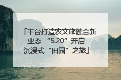 丰台打造农文旅融合新业态 “5.20”开启沉浸式“田园”之旅