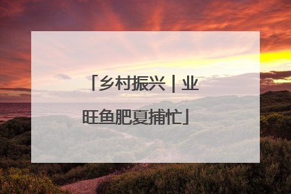 乡村振兴｜业旺鱼肥夏捕忙