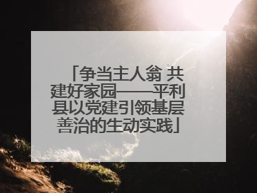争当主人翁 共建好家园——平利县以党建引领基层善治的生动实践