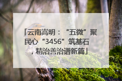 云南嵩明：“五微”聚民心“3456”筑基石，精治善治谱新篇