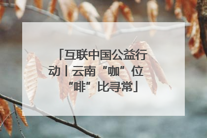 互联中国公益行动丨云南“咖”位“啡”比寻常