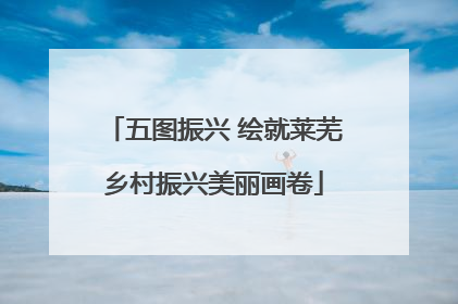 五图振兴 绘就莱芜乡村振兴美丽画卷