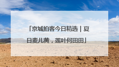 京城拍客今日精选｜夏日麦儿黄，莲叶何田田